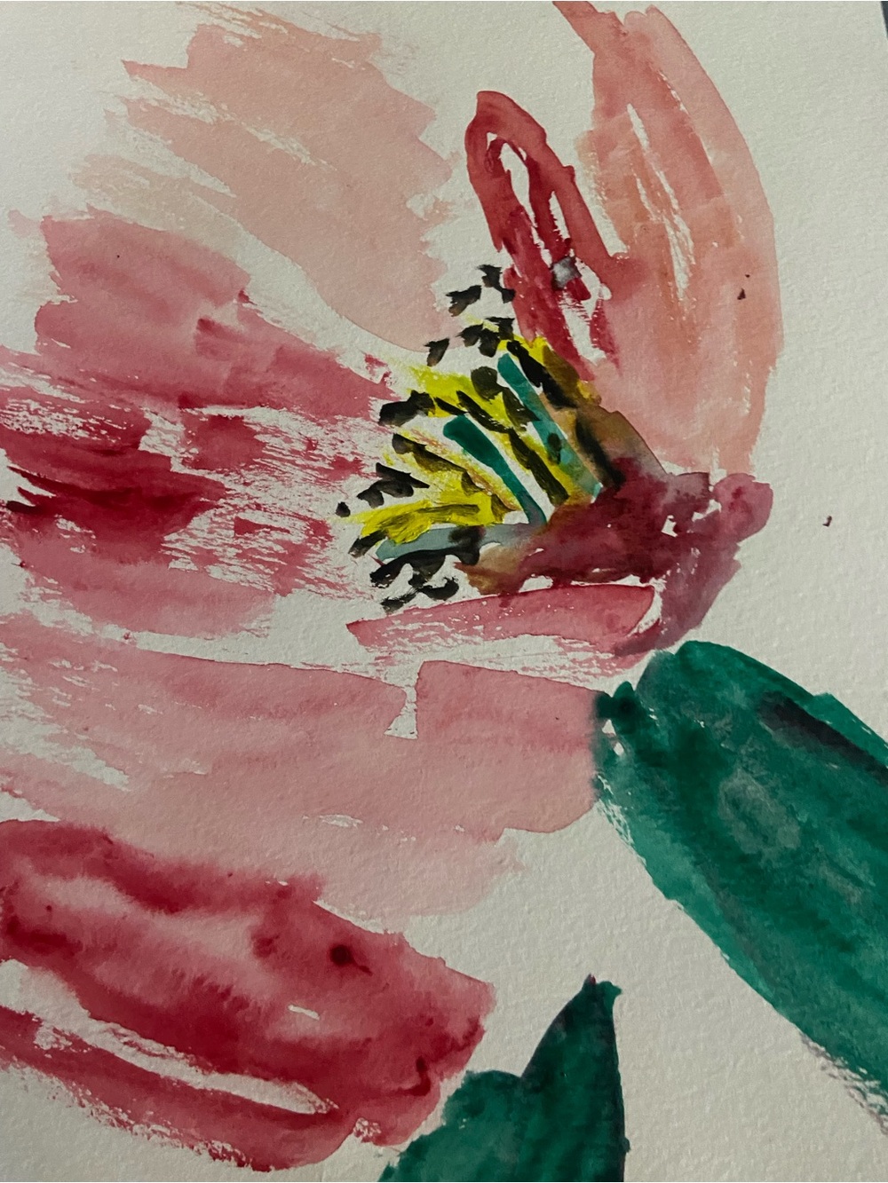 Hand-Painted Pink Floral Watercolor Wall Art